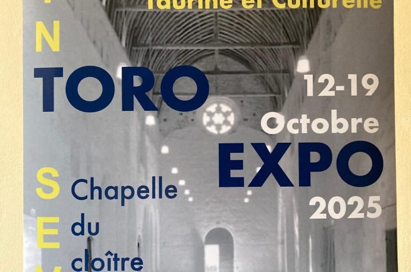 Expo Toro Expo 2025