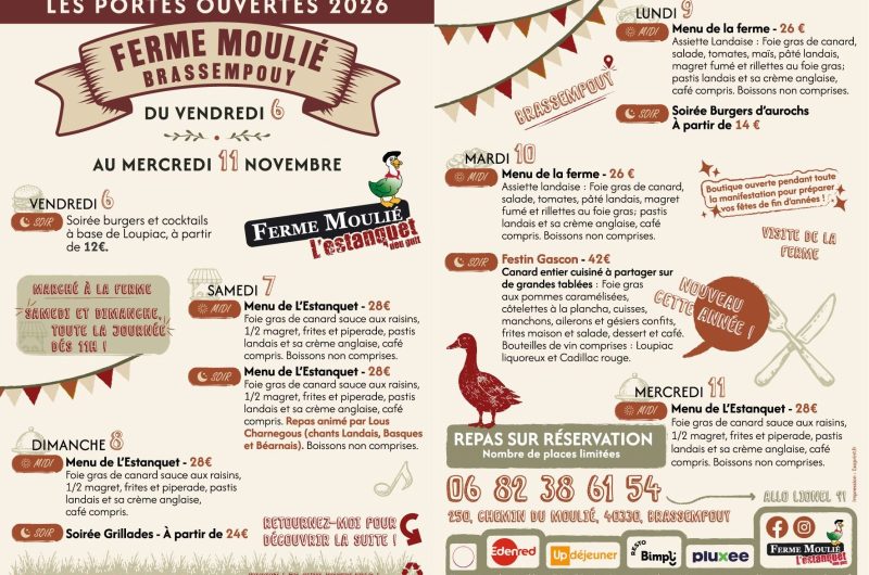 Flyer-recto-verso-PO-2026
