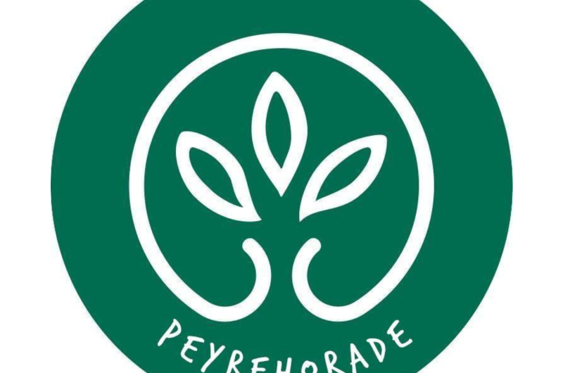 Design sans titre – Gamm Vert