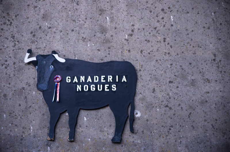 Ganaderia Nogues9 ©PopCom