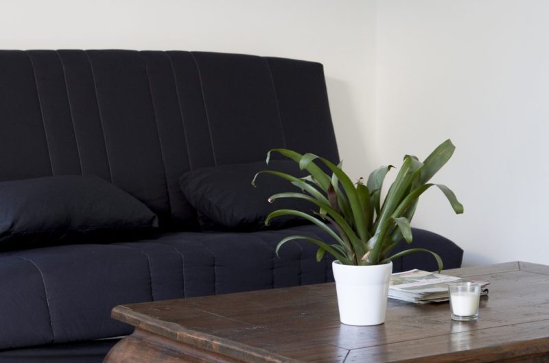 Gîte Bellocq _01A0876