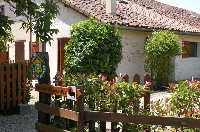 Gite-maynus-en-1024-a1fd370517bc4733a544dee7d62ae95d