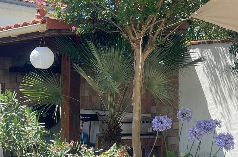 Gout_capbreton_landesatlantiquesud (9)