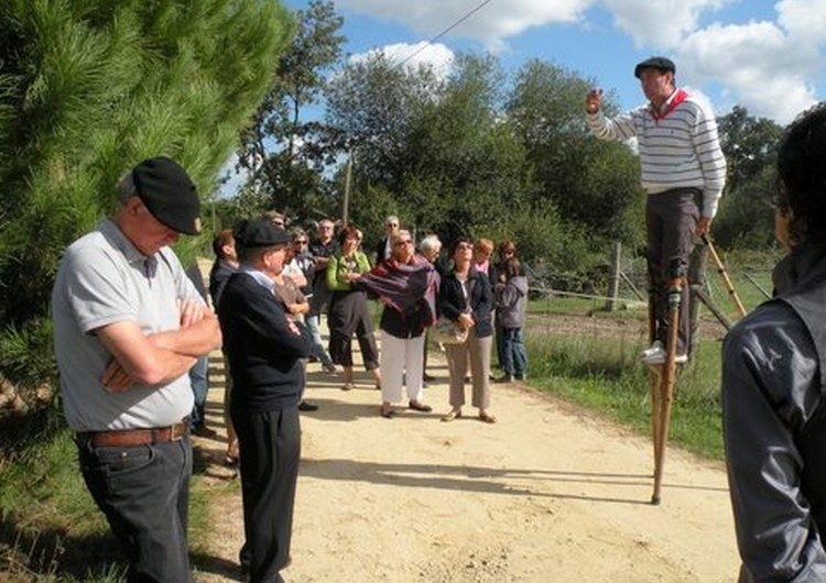 Groupe à la ganaderia