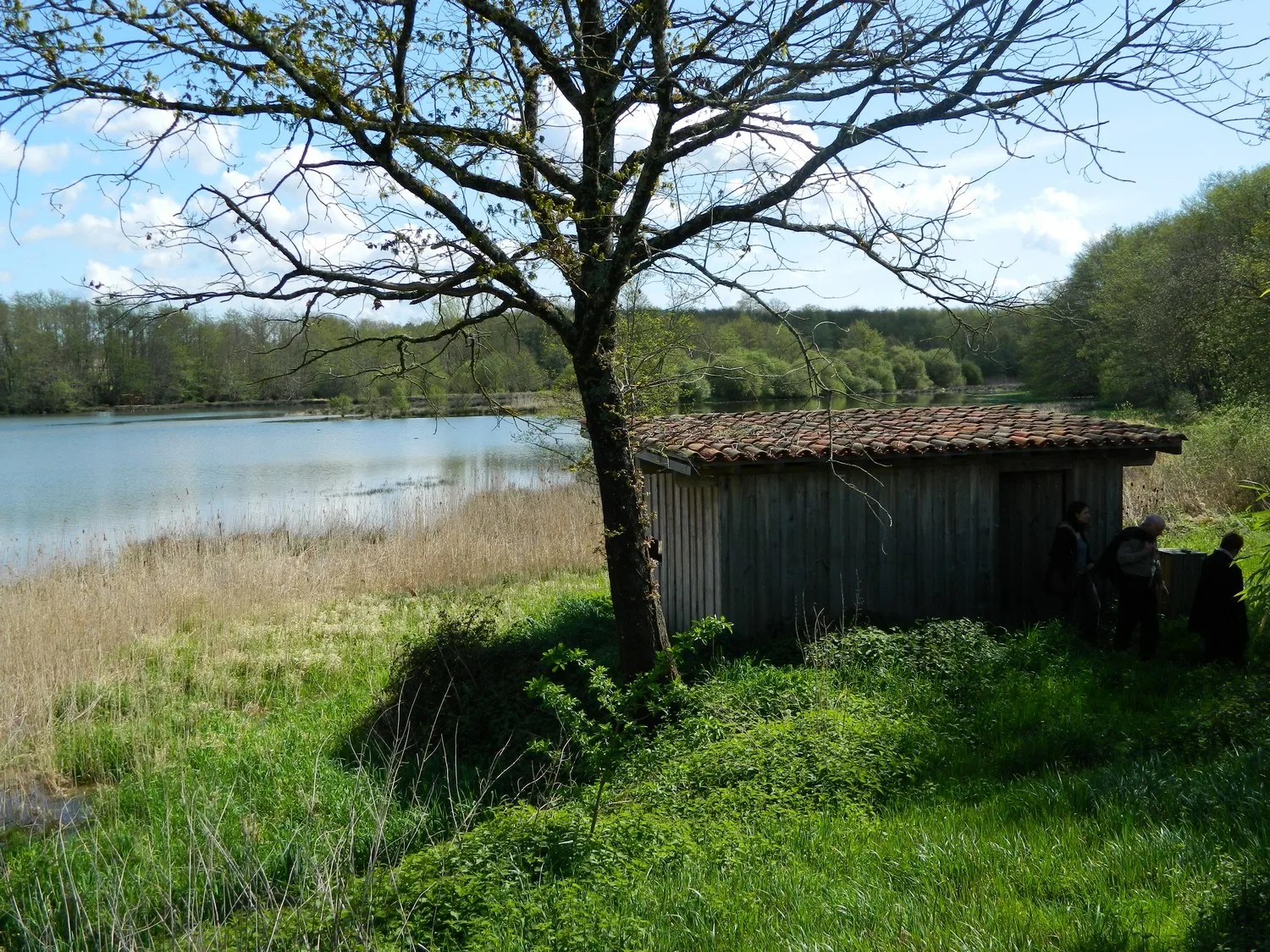Hontanx—Observatoire—Etang—Nature–2–2