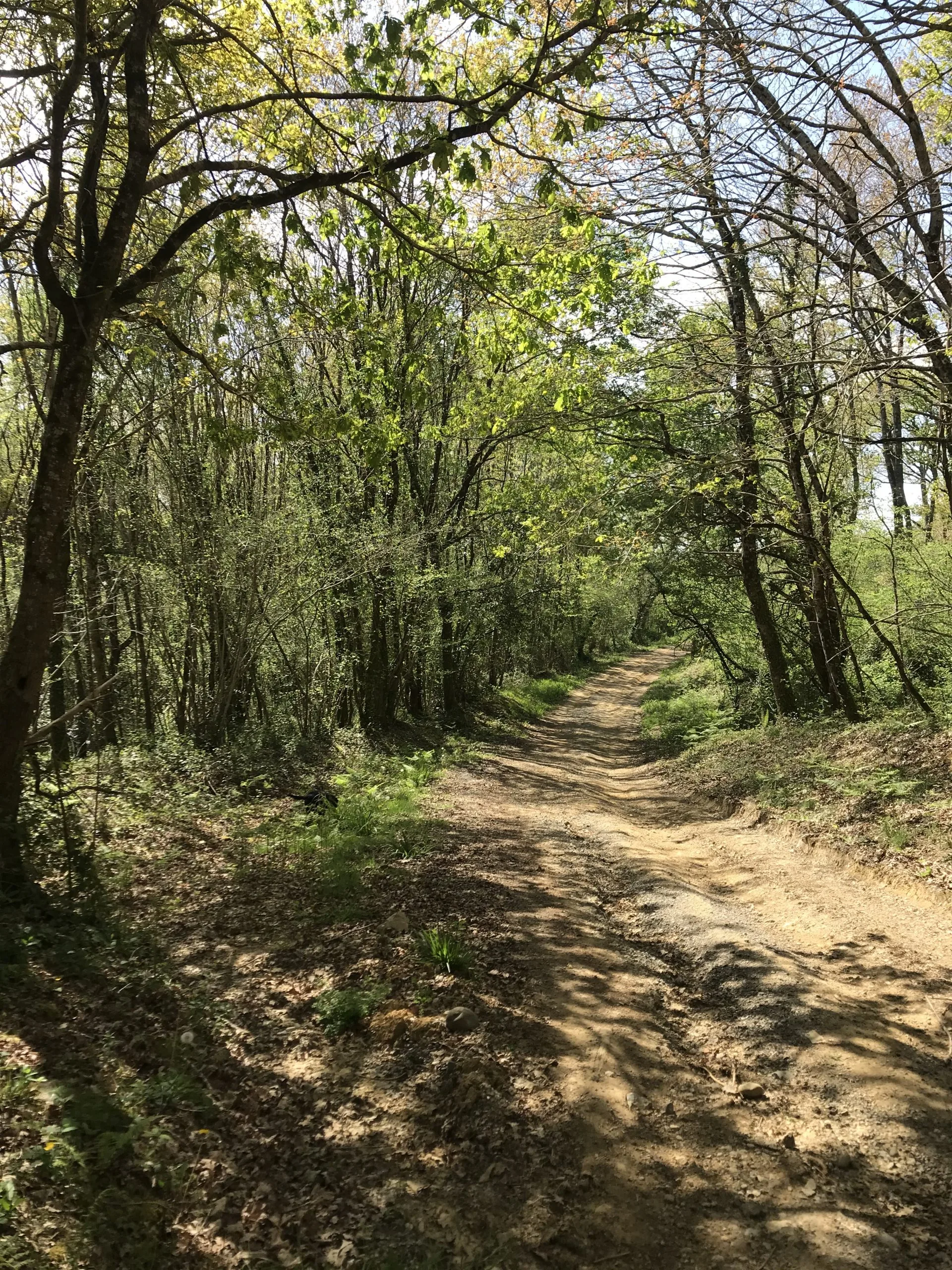 Randonnée – Circuit de l’Empereur, à Peyrehorade