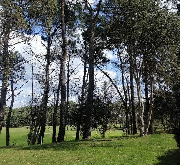 IMG_20220403_121740-op