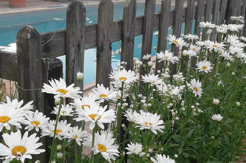 IMG_20220621_074539 (1)