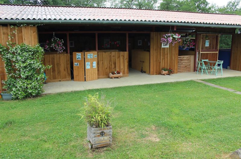 IMG-3556-6b81f402dcd44d96906b9171fd801b43