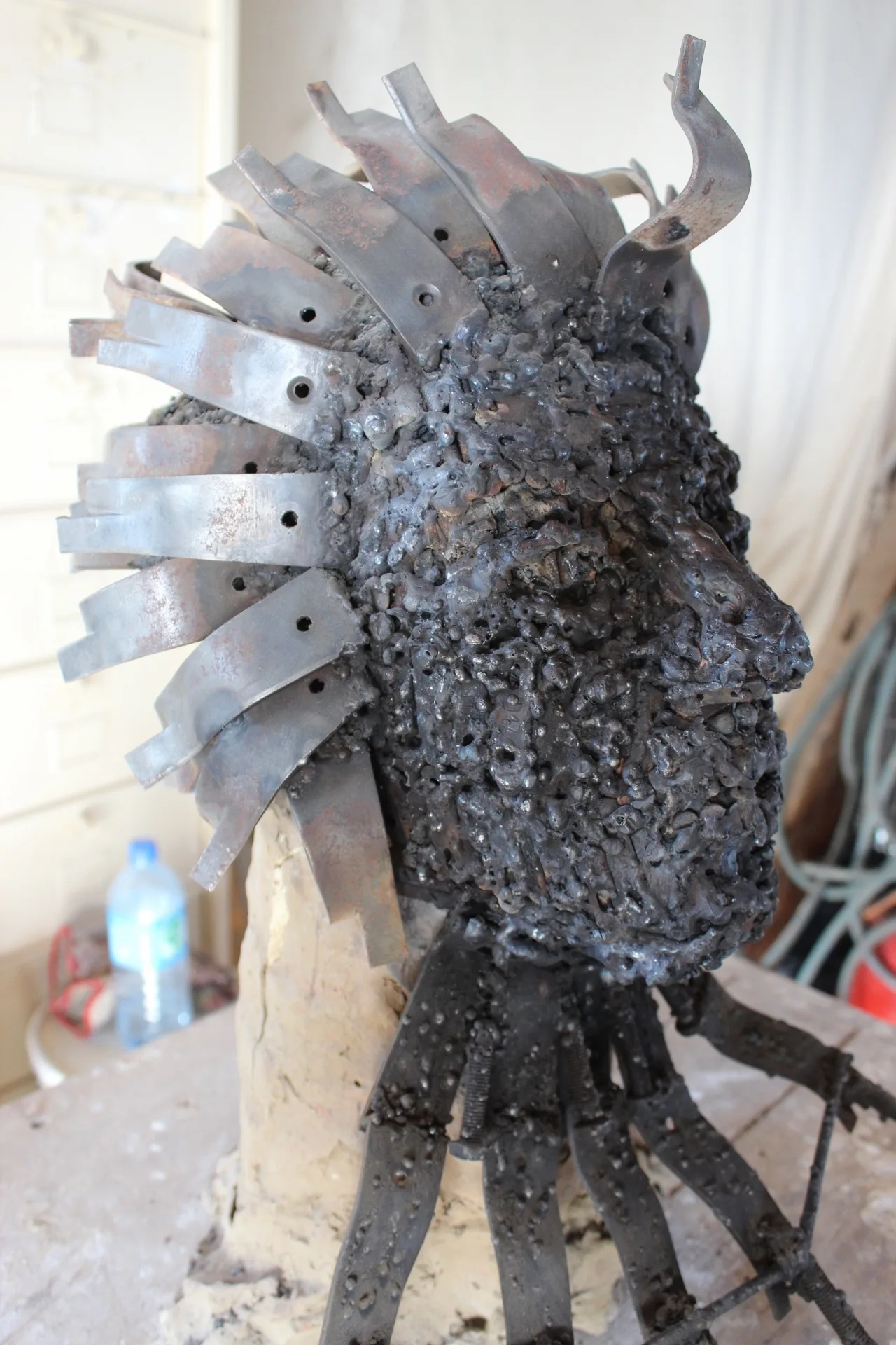 IMG_6563 (1280×1920)