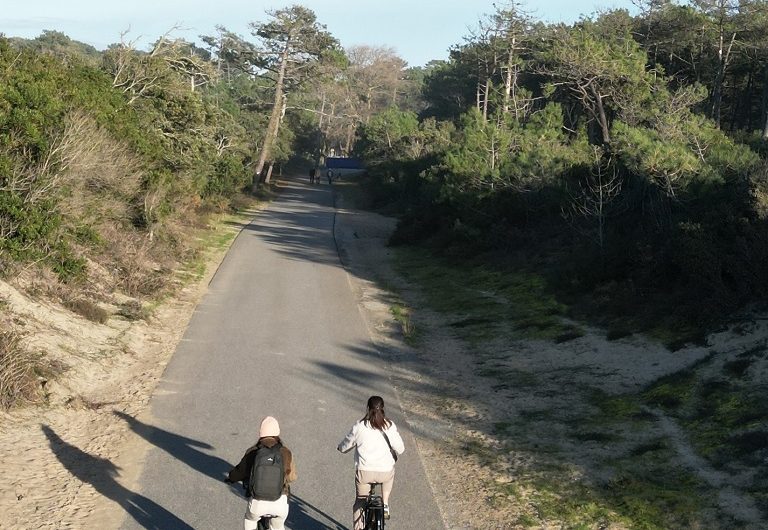 JOE BIKE Labenne3_OTILAS