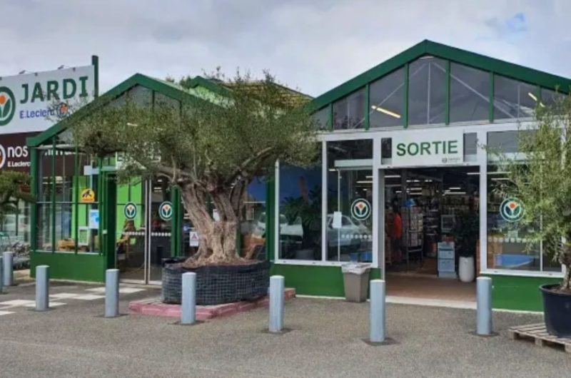 Design sans titre – 13