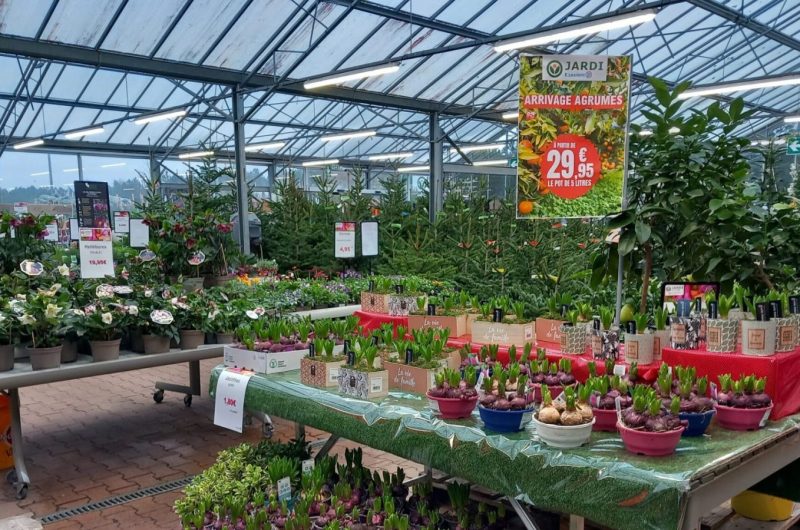 Design sans titre – 16