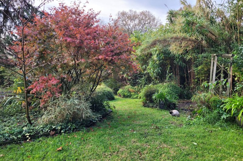 Jardin 2 La Maison des Peintres 2025 ©MMPoisson