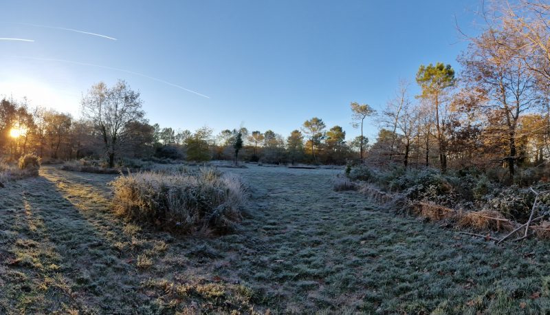 Jardin des abeilles @A_Magliari (2)