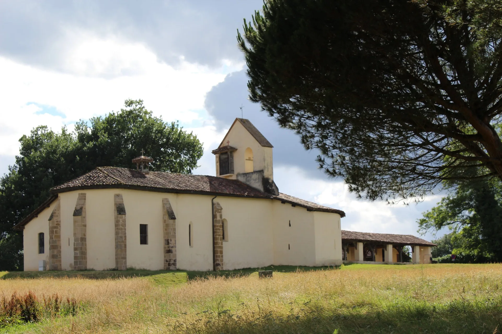 Juin 2020 IMG_2106 (5)