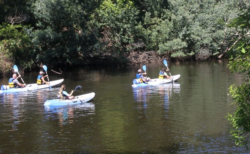 Kayakcourant 2 (Copier)