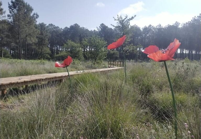 LEON-JardinCôted’Argent-1