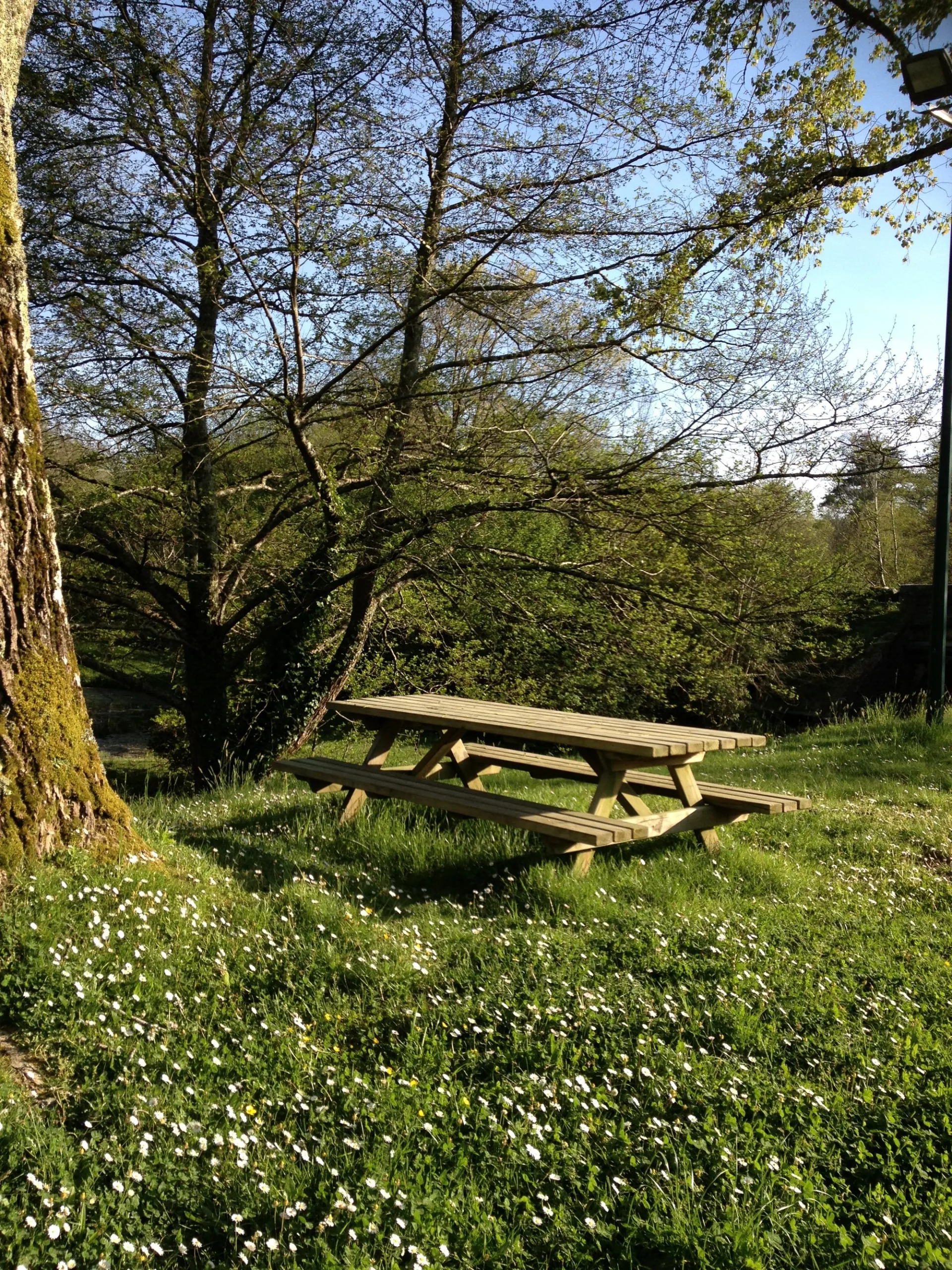 LINXE – Aire de pique nique devant l’église (3)