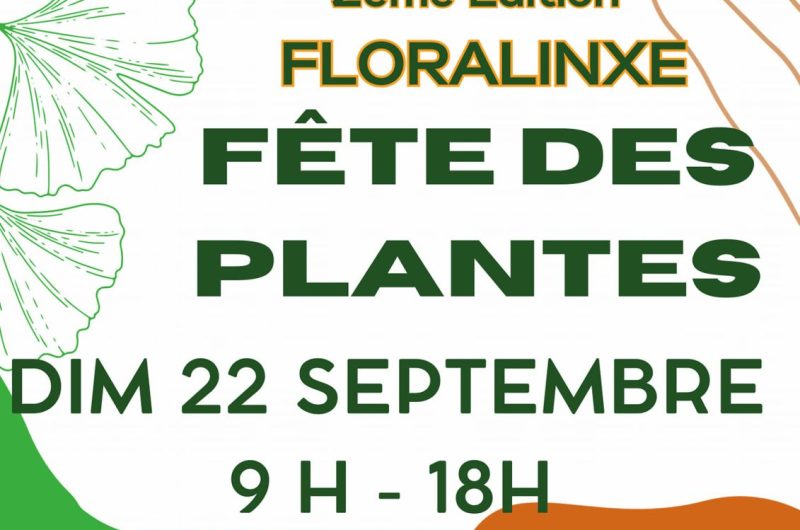 LINXE-Floralinxe