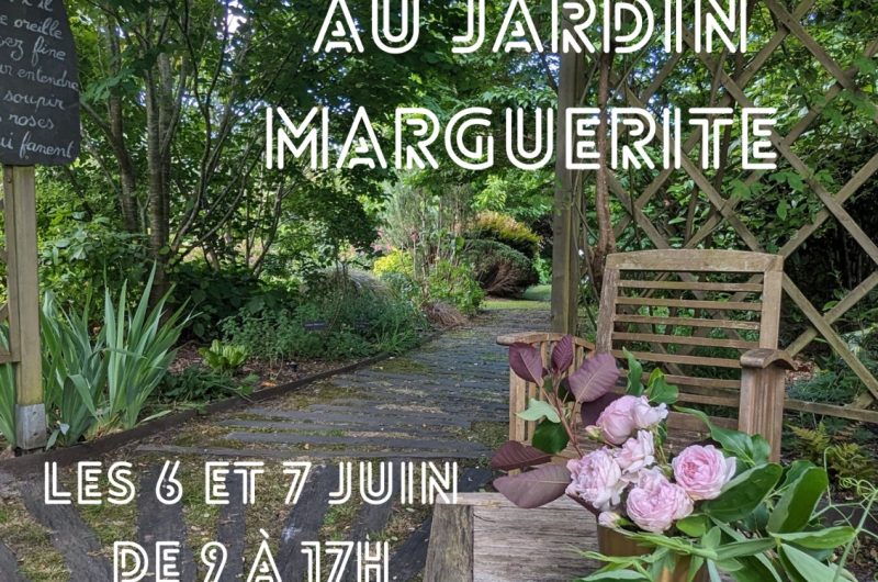 LINXE-JardinMamrguerite
