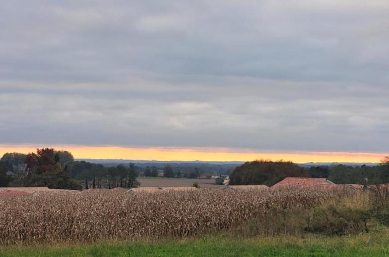 La Box des Oiseaux vue jardin 2025 ©AguilarVelten