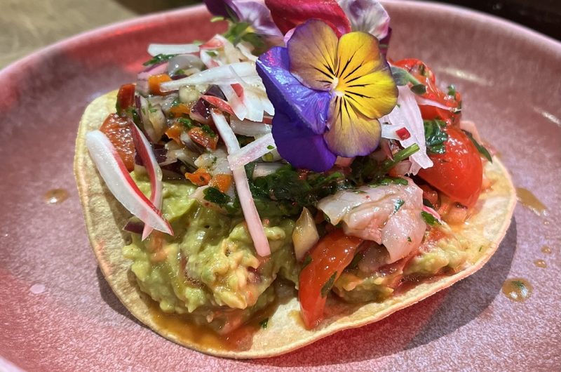 La-Kbane-Moliets2023-LandesAtlantiqueSud7