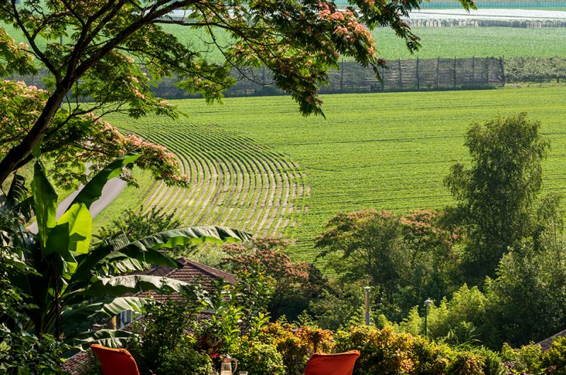 La piscine -panorama