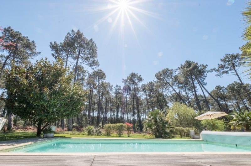 Lavender-4-Piscine-op