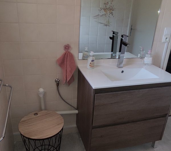 Les Albizias 8 et 9 (4)