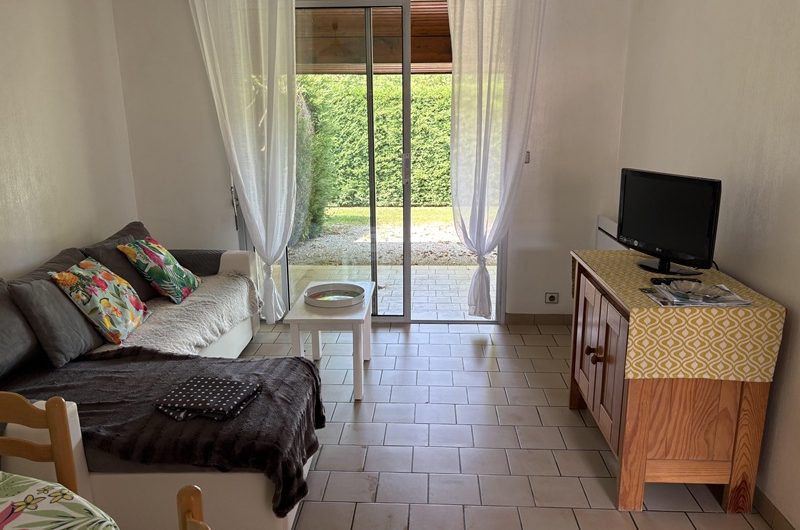 Les Alibizias n°3 (1)