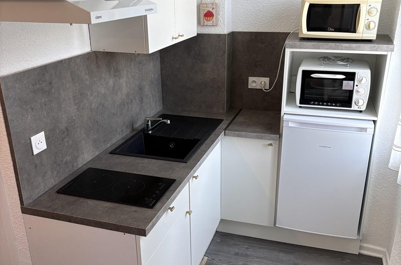 Les Hirondelles n°2 (2)