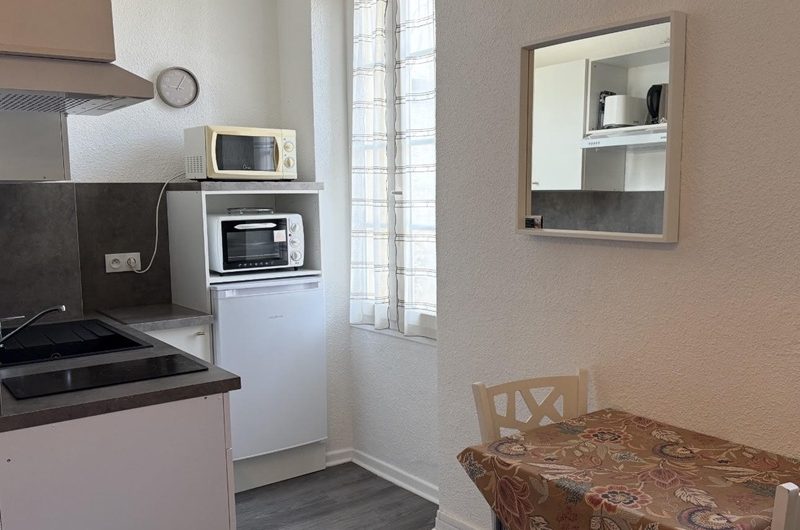 Les Hirondelles n°2 (3)