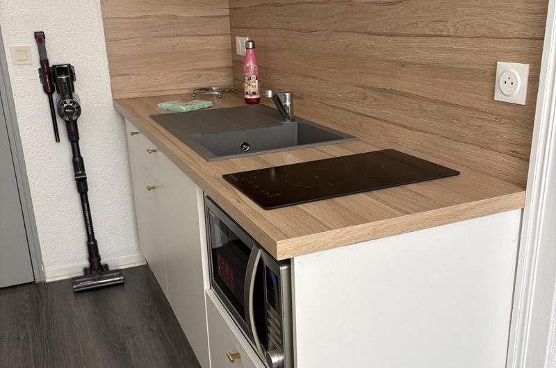 Les Hirondelles n°4 (1)