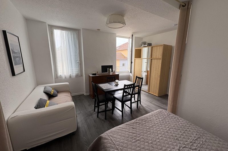 Les Hirondelles n°4 (2)