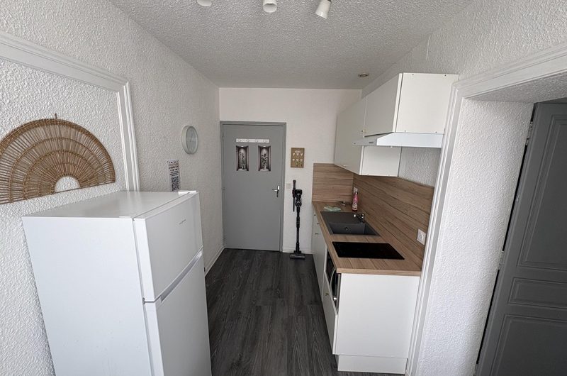 Les Hirondelles n°4 (3)