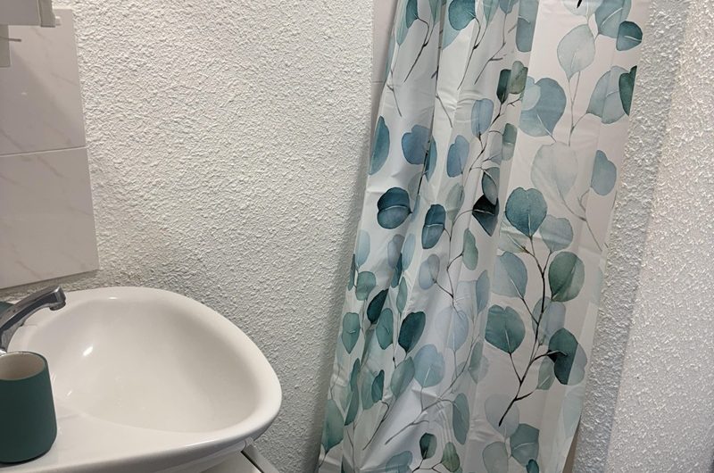 Les Hirondelles n°4 (4)