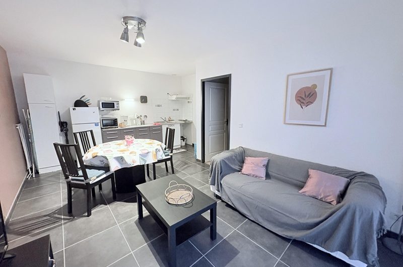 Les Hirondelles n°7 (3)