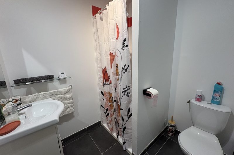 Les Hirondelles n°7 (4)