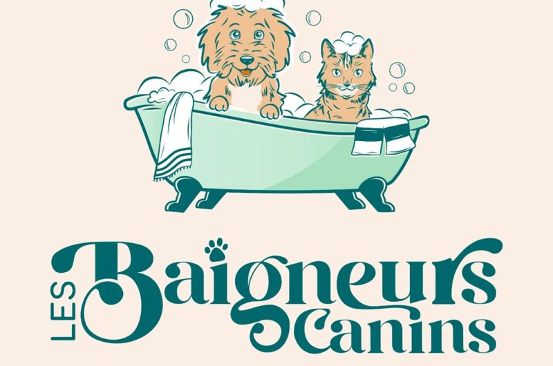 Les baigneurs canins Molietsetmaa 2025-4@OTI_LandesAtlantiqueSud