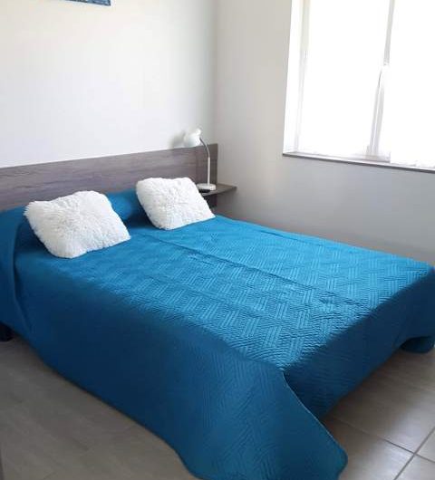 Les chênes tourinsoft (6)