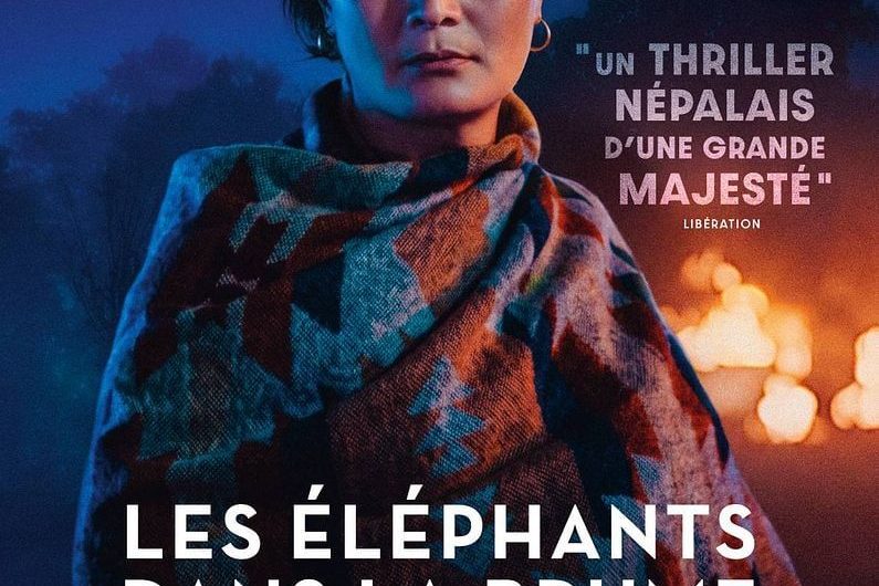 Les éléphants dans la brume