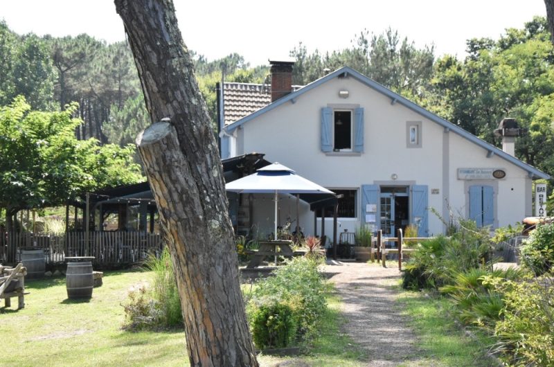 Les roseaux 2019 ©Les Roseaux (1)