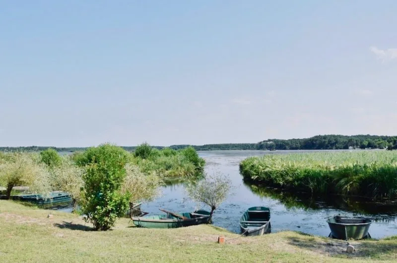 Les-roseaux-Seignosse-Landes Atlantique Sud-Les-Roseaux–1- (2)