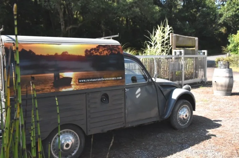 Les-roseaux-Seignosse-Landes Atlantique Sud-Les-Roseaux–1- (5)