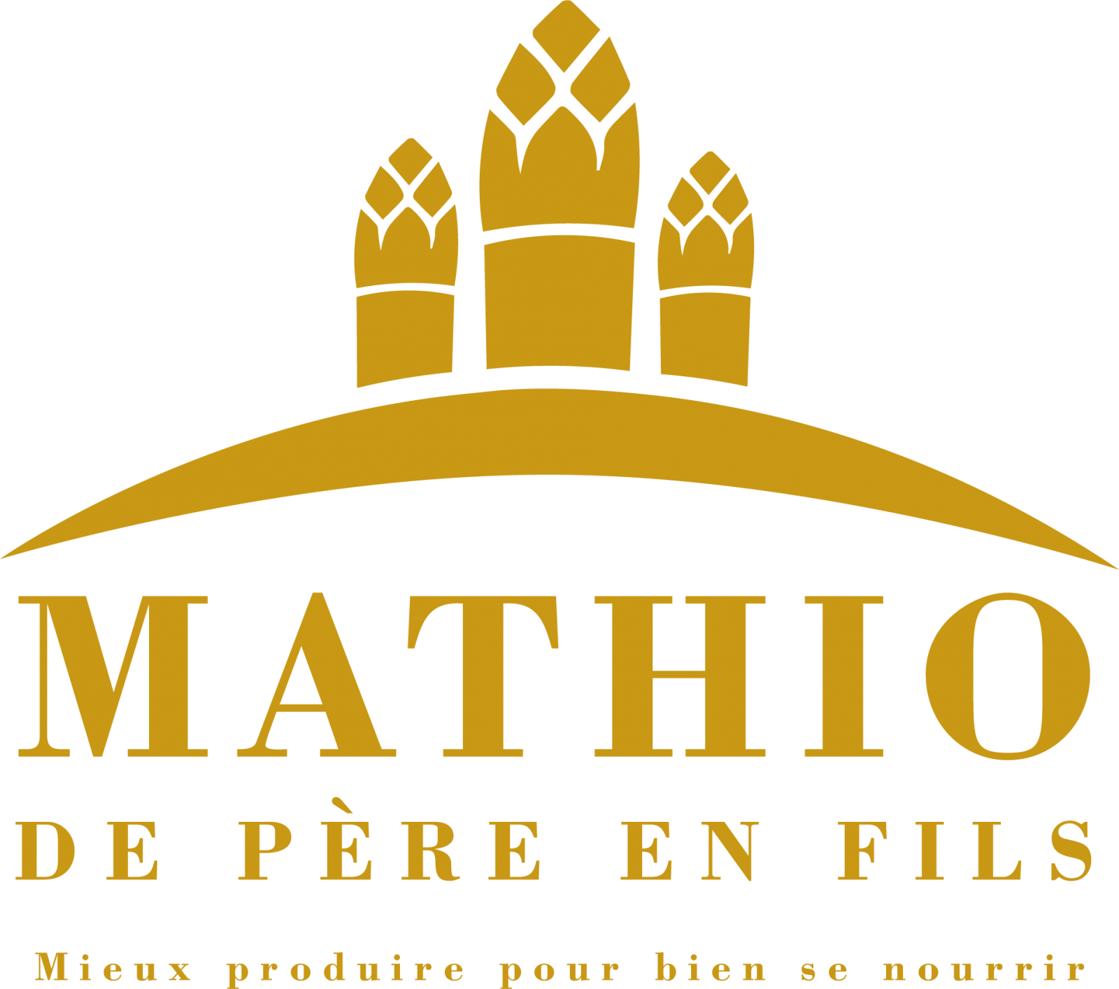 Logo-Mathio—Or–1–1