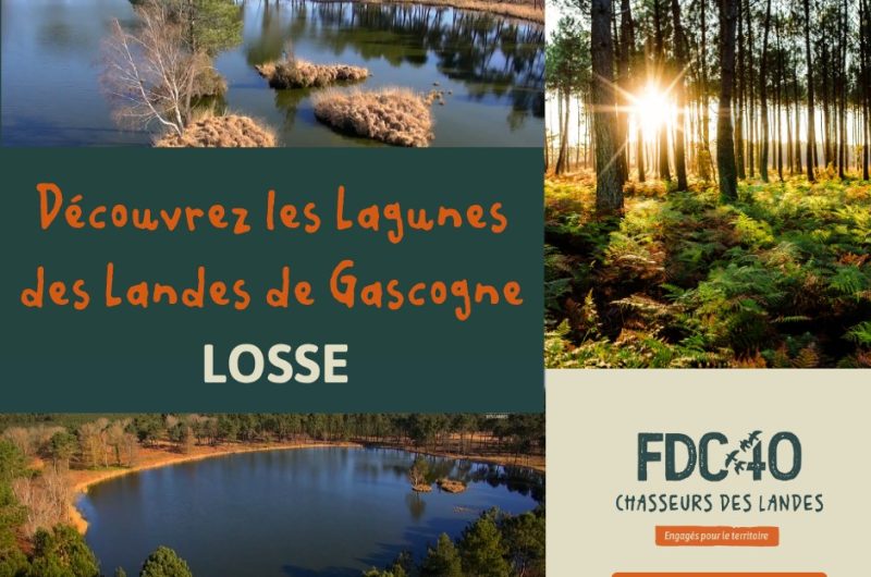 Losse – Découvrez les lagunes des Landes de Gascogne – 22 Avril