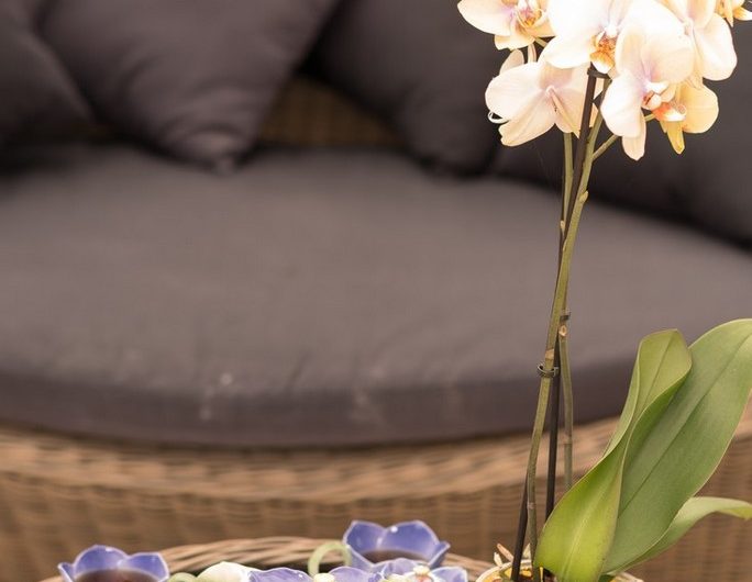 Losse- Lou Castet- Table 3