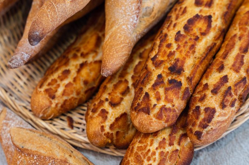 Lucas 28.08.2021-3 (2)