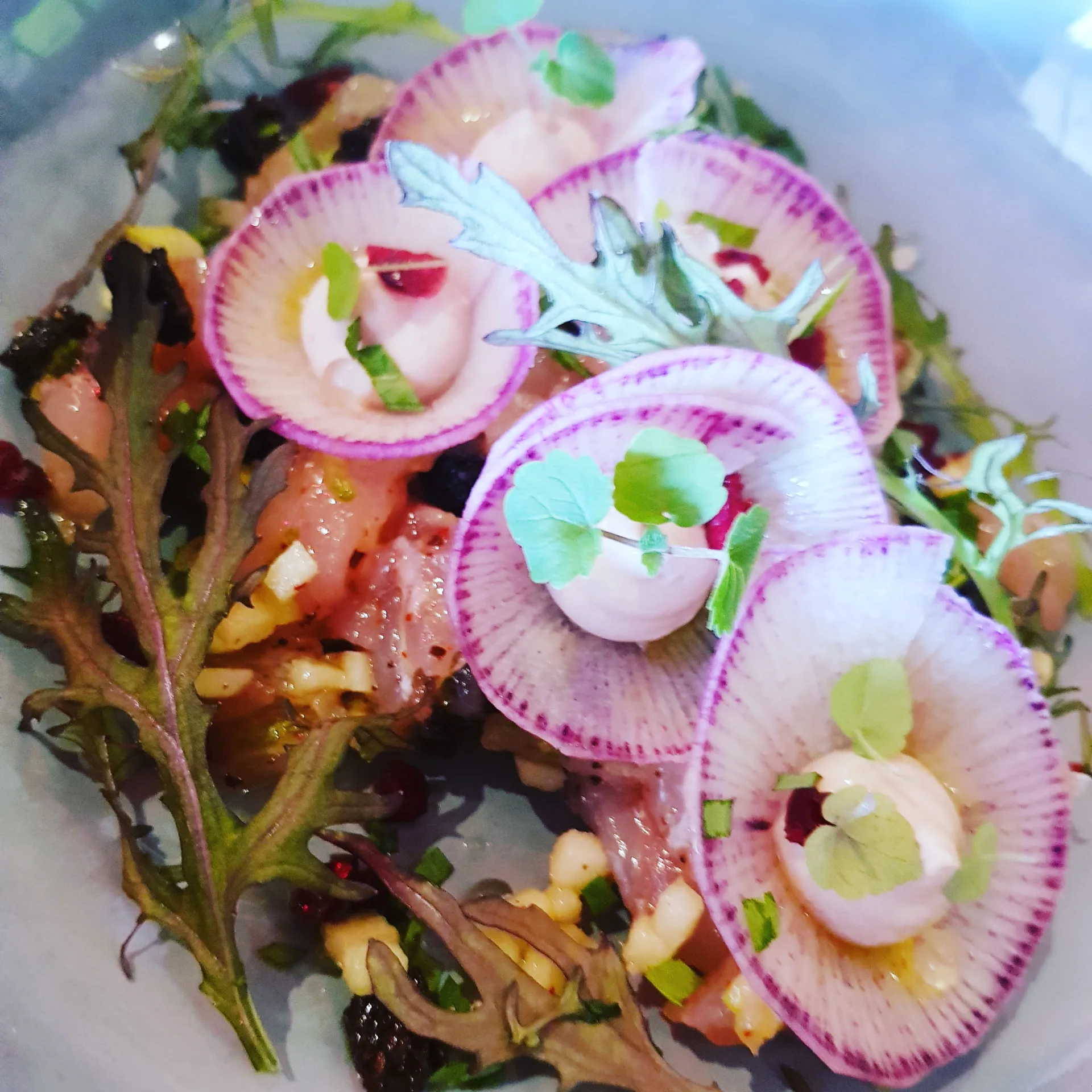 Ma-cabane-sur-le-port-Capbreton-Landes-atlantique-sud–3-